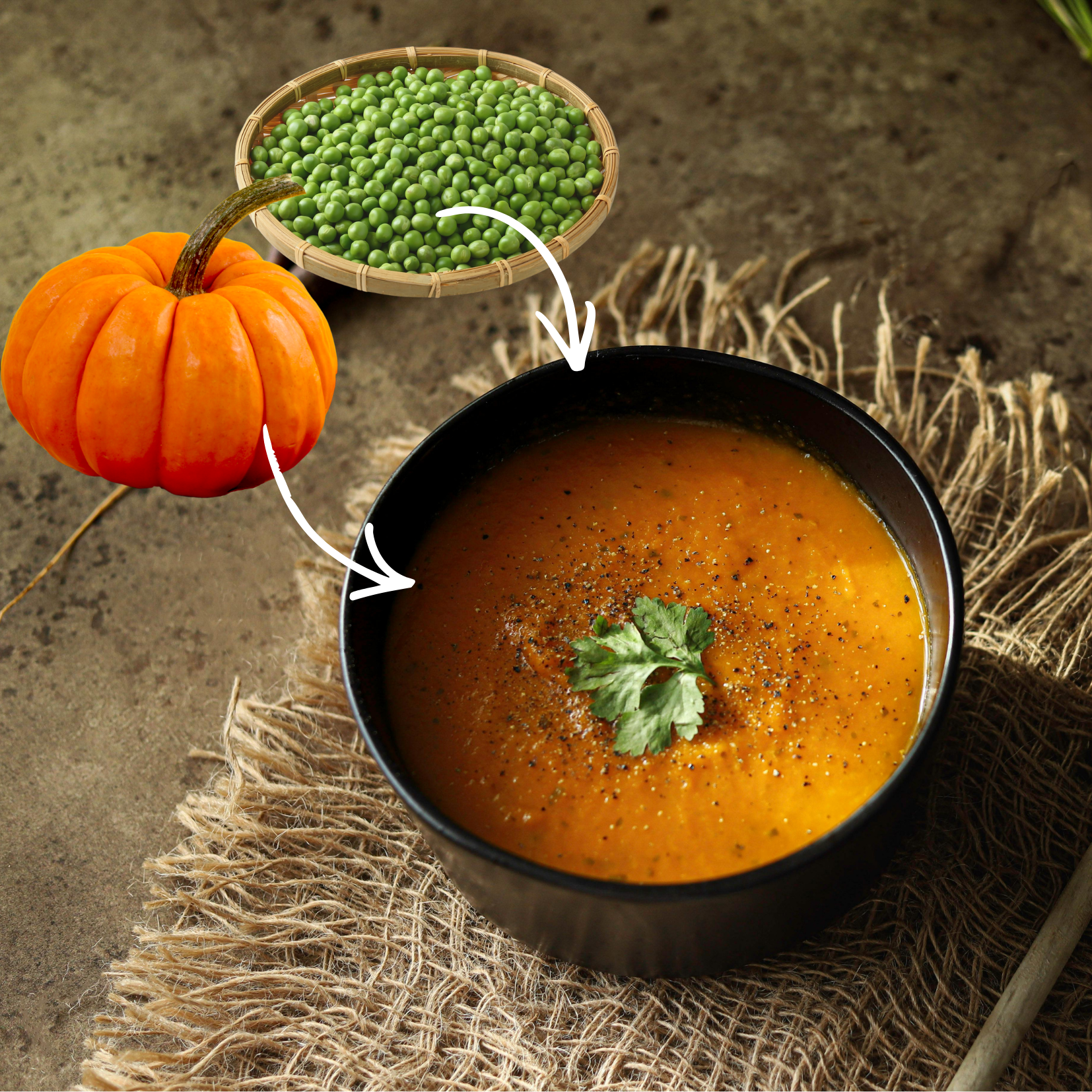 RECETTES DE SAISON – SAINES ET ACCESSIBLES