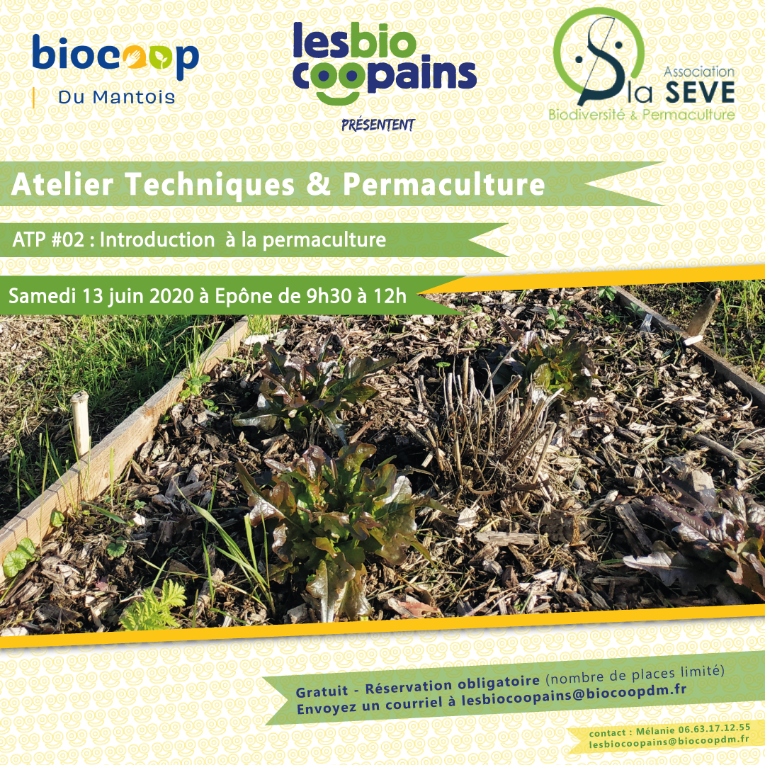 Atelier Techniques & Permaculture #02 : Introduction à la permaculture le samedi 13 juin 2020
