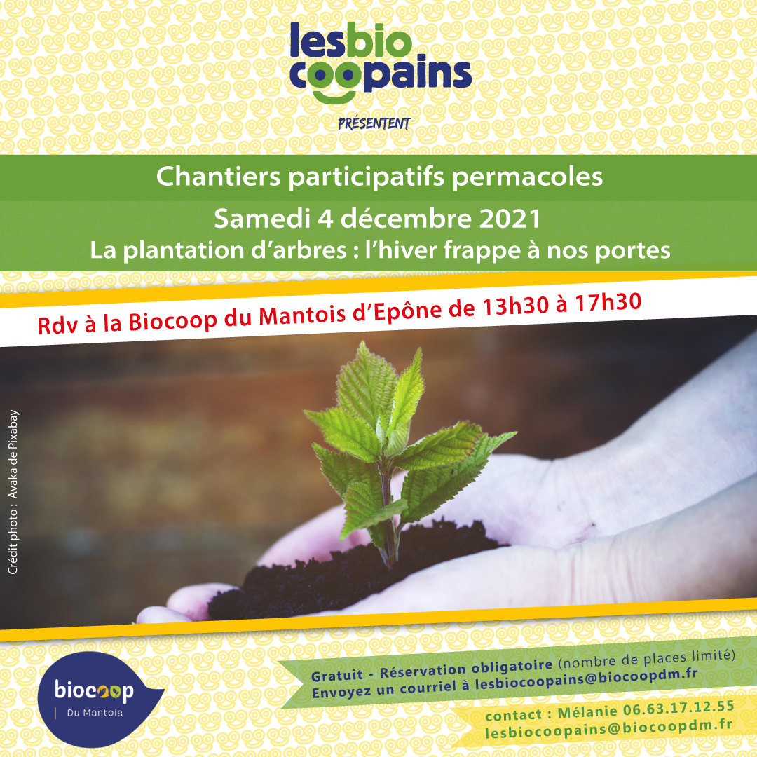 Chantier participatif permacole n°15 sur la plantation d’arbres, le samedi 4 décembre 2021